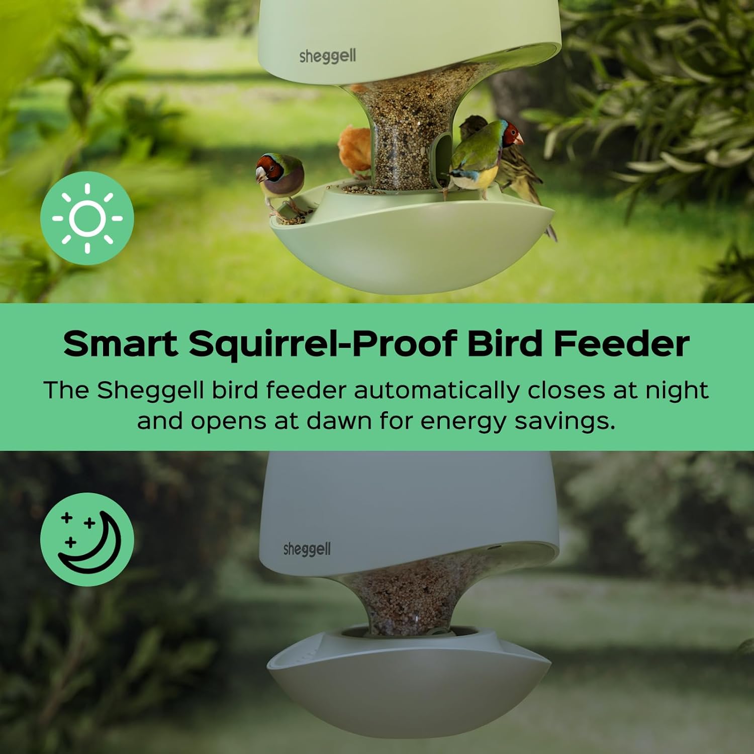 SHEGGELL Smart Grain Feeder