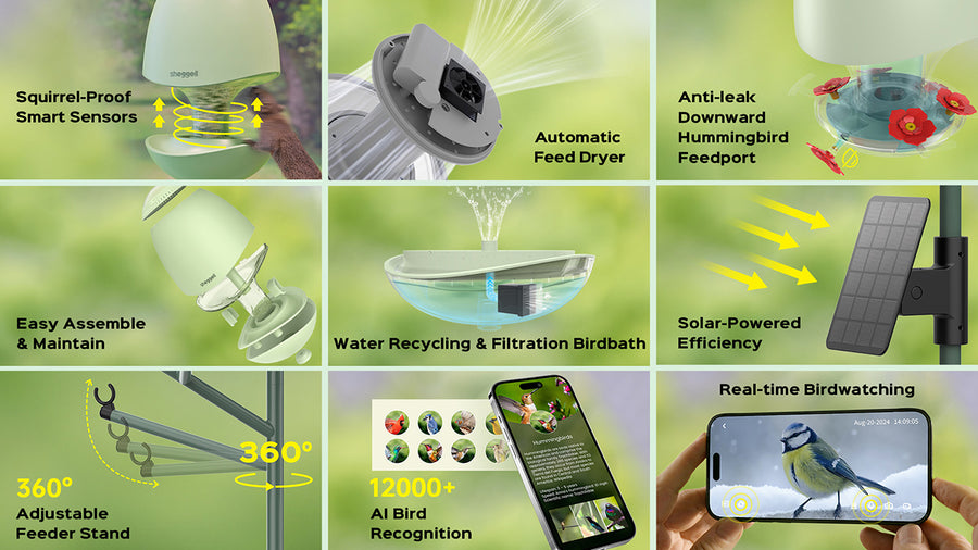 Sheggell Smart Bird Feeder & Bird Bath - Attract Hummingbird & More ...