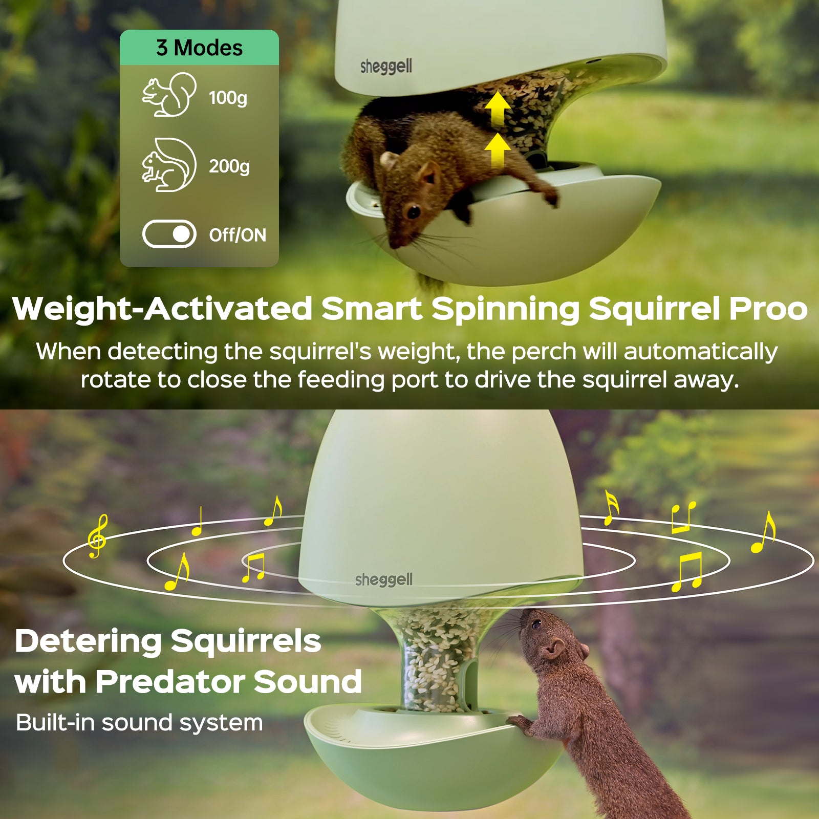 SHEGGELL Smart Grain Feeder