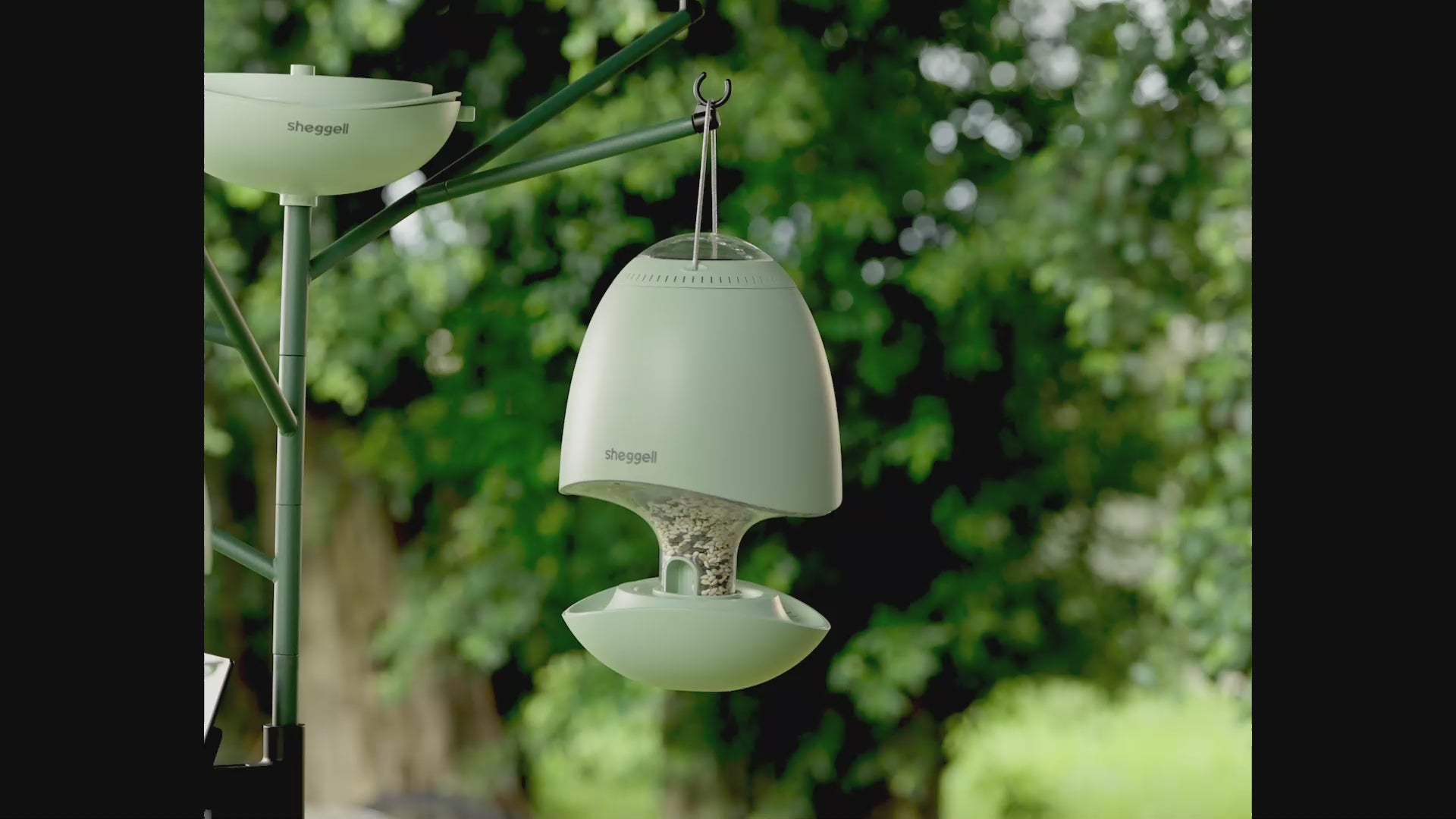 Load video: sheggell smart bird feeder product highlight