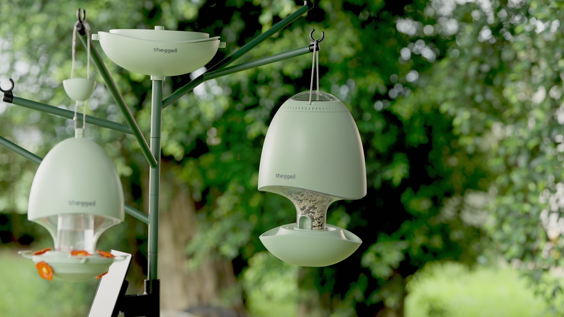 Load video: sheggell smart bird feeder product highlight