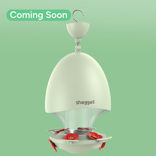 Sheggell Smart Bird Feeder & Bird Bath - Attract Hummingbird & More ...